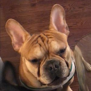 Meet your Posher, Ayoub